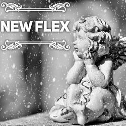 New Flex
