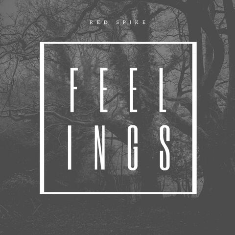 Feelings