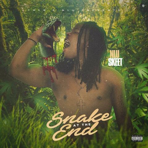 Snake at the End