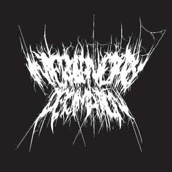 Metasylum