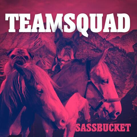 Sassbucket