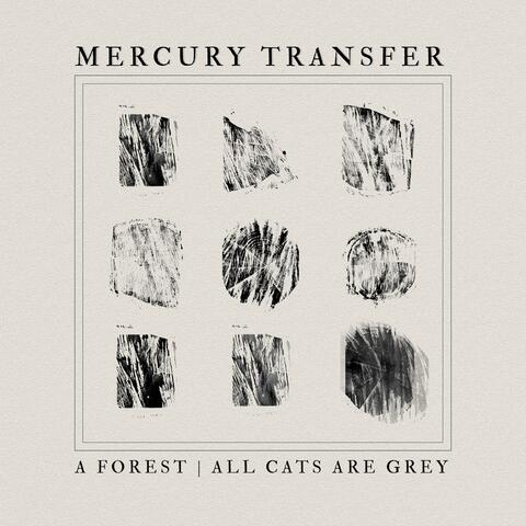 A Forest / All Cats Are Grey