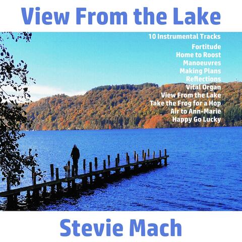 View from the Lake