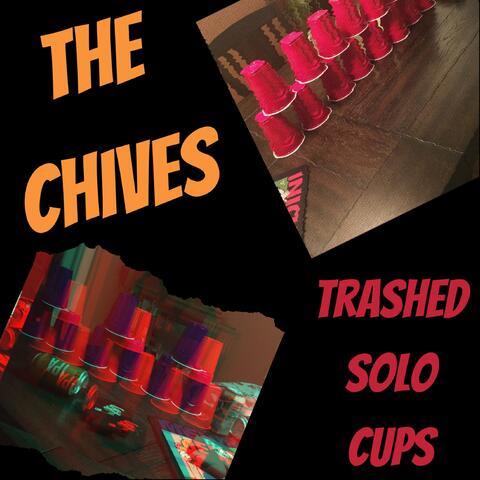 Trashed Solo Cups
