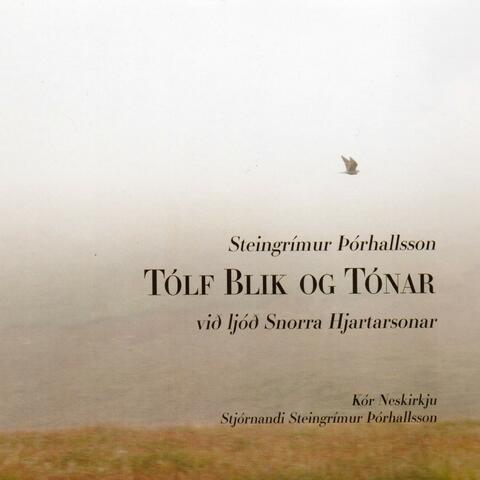 Tólf blik og tónar