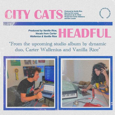 City Cats // Headful