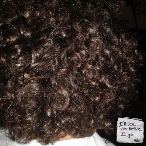 I'll See You Before I Go