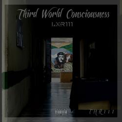 Third World Consciousness
