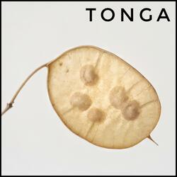 Tonga