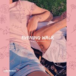Evening Walk