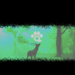 MOOSE