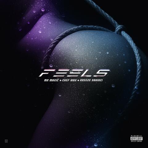 Feels (feat. Breeze Davinci & Chef Wak)