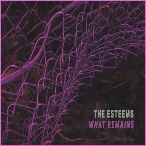 What Remains