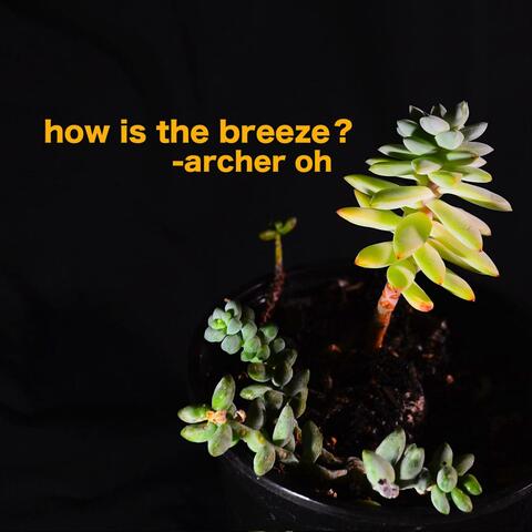 How Is the Breeze?