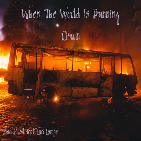 When the World Is Running Down (feat. Luci Lampe)