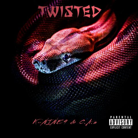Twisted (feat. C.A.M)