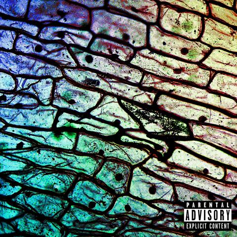 Discernment (feat. Sound Sorcery)