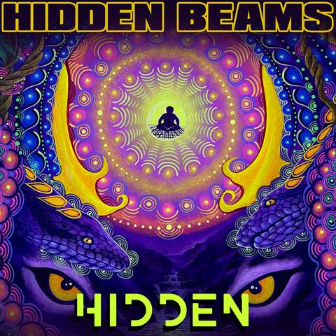 Hidden