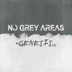 No Grey Areas (feat. Añyo & T. Barlow)