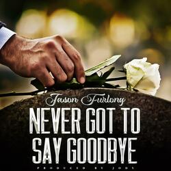 Never Got to Say Goodbye