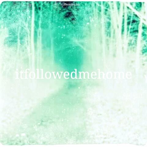 Itfollowedmehome...