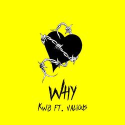 Why (feat. Valious)