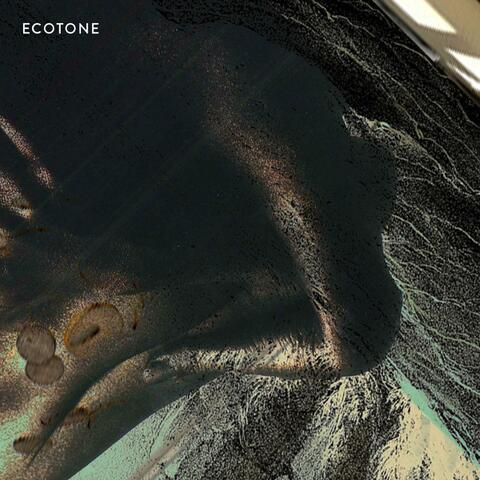 Ecotone