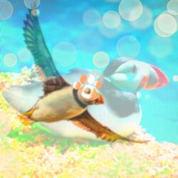 PUFFIN