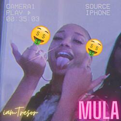 Mula