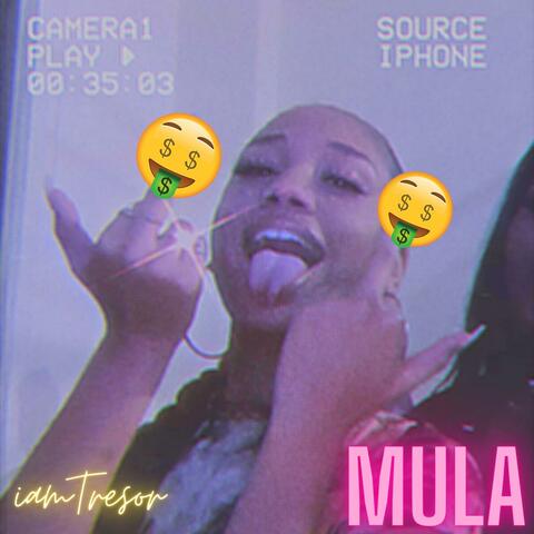 Mula