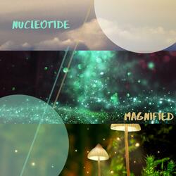 Magnified