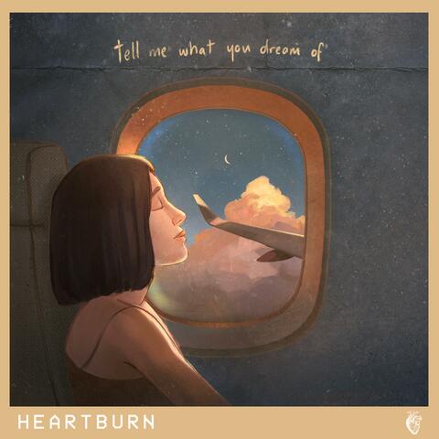Tell Me What You Dream Of