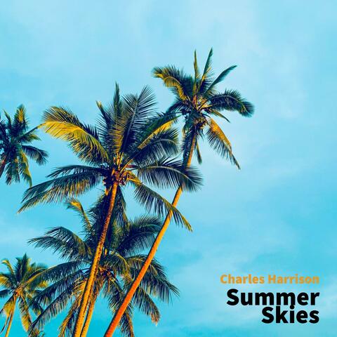 Summer Skies
