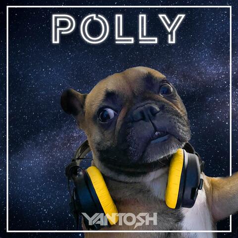 Polly