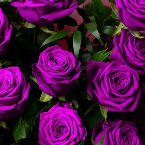 Rosae (feat. Grosz & Gionathan)