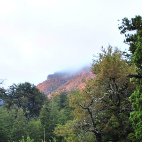 Nos Vemos la Otra Semana