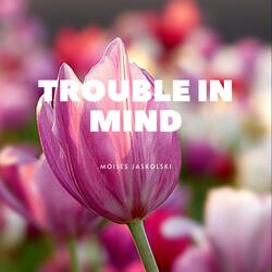 Trouble in Mind