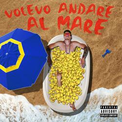Volevo andare al mare