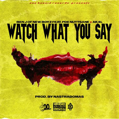 Watch What You Say (feat. PDE Nuttsane & Ak4l)