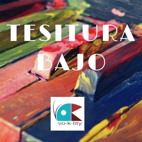 Tesitura Bajo