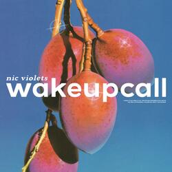 wakeupcall