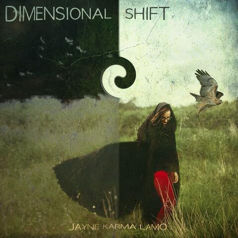 Dimensional Shift