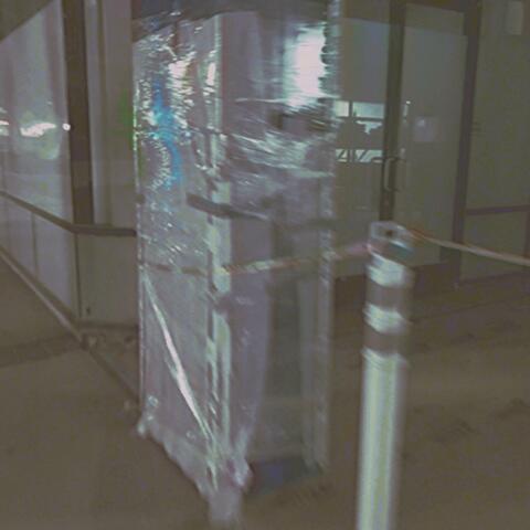 Buzzing Buzzing Buzzing