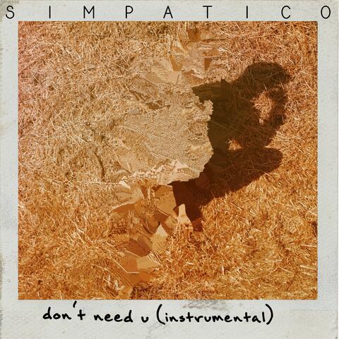 Don't Need U
