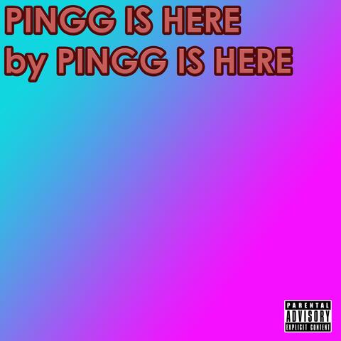 Pingg Is Here