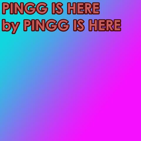 Pingg Is Here