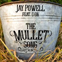 The Mullet Song (feat. C-S1k)
