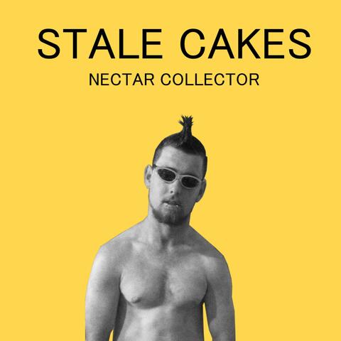 Nectar Collector
