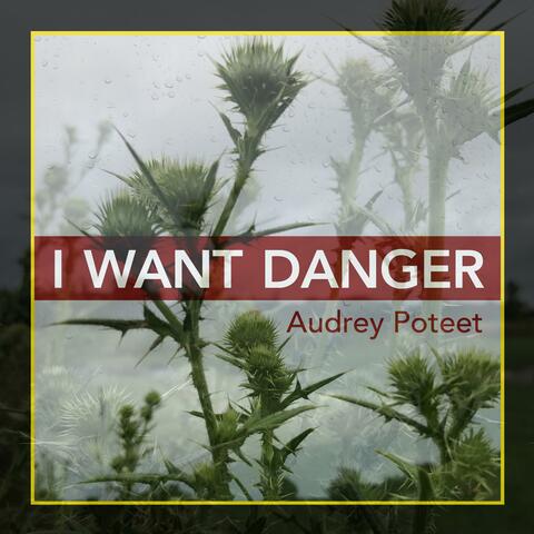 I Want Danger