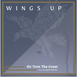 Wings Up (feat. Cyril Durant)